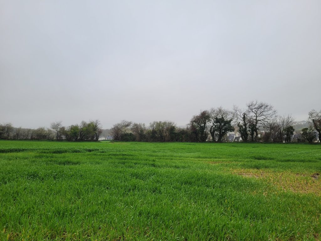 Terrain à Le-Relecq-Kerhuon 29480 589m2 179000 € - RBRO-25-05-02-15