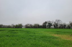 Terrain à Le-Relecq-Kerhuon 29480 589m2 179000 € - RBRO-25-05-02-15