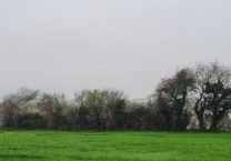 Terrain à Brest 29200 441m2 65000 € - RBRO-25-07-09-1