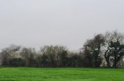 Terrain à Brest 29200 443m2 60000 € - RBRO-25-05-02-1
