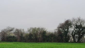 Terrain à Brest 29200 647m2 125000 € - RBRO-25-04-22-8