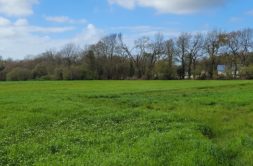 Terrain à Le-Relecq-Kerhuon 29480 302m2 95500 € - RBRO-25-03-09-2
