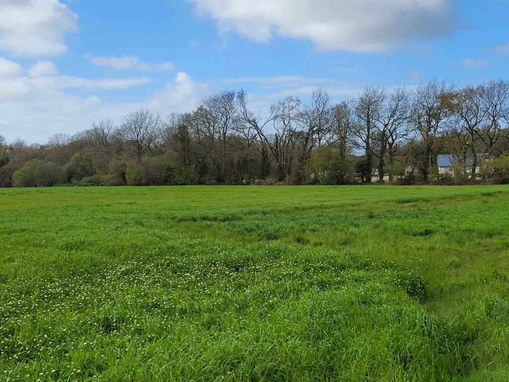 Terrain à Plourin 29830 800m2 69000 € - RBRO-25-05-09-3