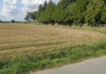 Terrain à Pleurtuit  340m2 114000 € - BONE-25-07-21-5