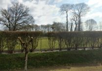 Terrain à Saint-Samson-sur-Rance  332m2 52000 € - BONE-25-07-21-6