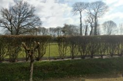 Terrain à Saint-Samson-sur-Rance  332m2 52000 € - BONE-25-03-30-69