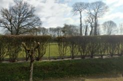 Terrain à Saint-Samson-sur-Rance  439m2 69000 € - BONE-25-03-14-9