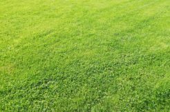 Terrain à Lamballe-Armor 22400 400m2 48000 € - YLM-25-04-25-2