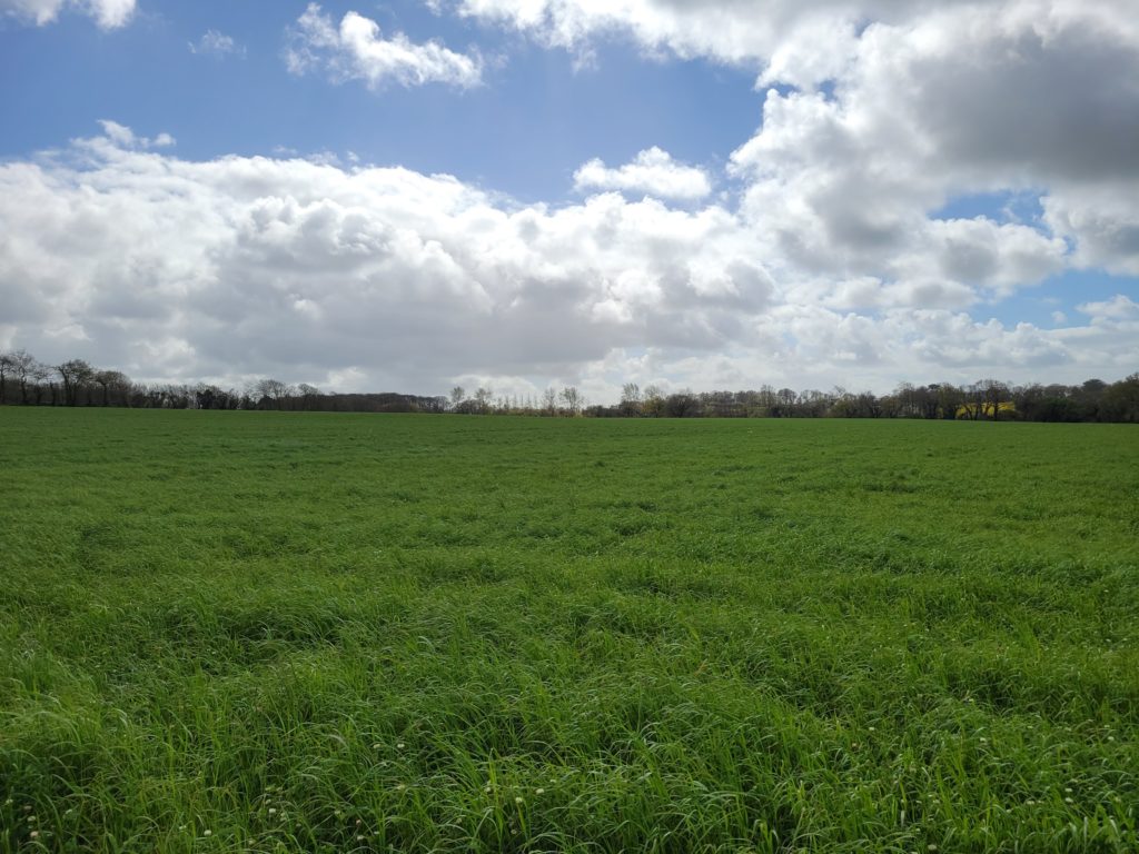 Terrain à Plabennec 29860 270m2 62400 € - RBRO-25-05-09-4