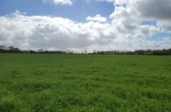 Terrain à Plabennec 29860 270m2 62400 € - RBRO-25-05-09-4