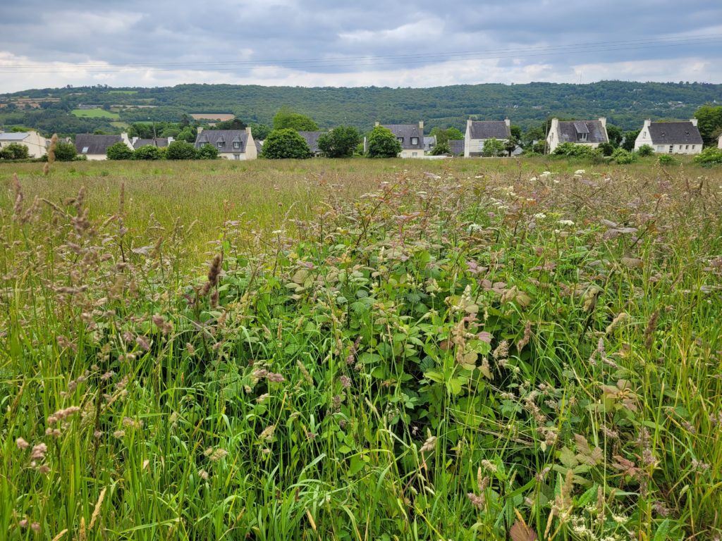 Terrain à La-Forest-Landerneau 29800 553m2 77000 € - RBRO-25-05-02-2