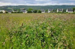 Terrain à La-Forest-Landerneau 29800 553m2 77000 € - RBRO-25-05-02-2