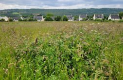 Terrain à La-Forest-Landerneau 29800 553m2 77000 € - RBRO-25-05-02-2