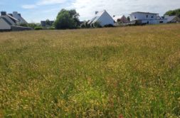 Terrain à Gouesnou 29850 520m2 130000 € - RBRO-25-03-09-3
