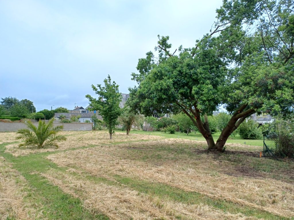 Terrain à Saint-Cast-le-Guildo 22380 622m2 330000 € - BONE-26-01-05-6