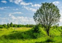 Terrain à Plounevez-Moedec 22810 442m2 19900 € - MLAG-25-11-22-124