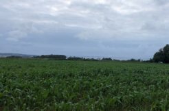 Terrain à Kerlaz 29100 585m2 72127 € - MBE-25-07-24-50