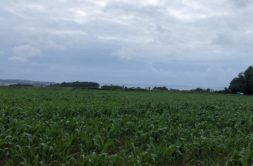 Terrain à Kerlaz 29100 585m2 72127 € - MBE-25-07-24-50