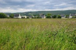 Terrain à La-Forest-Landerneau 29800 500m2 85000 € - RBRO-25-08-22-8