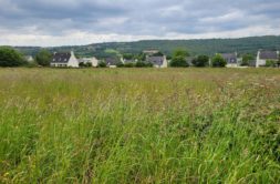 Terrain à La-Forest-Landerneau 29800 500m2 85000 € - RBRO-25-08-22-8
