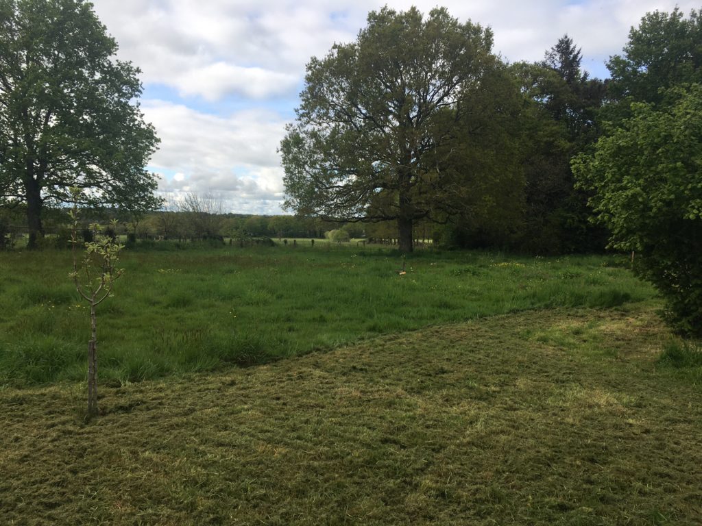 Terrain à Plesse 44630 3700m2 110000 € - ALEG-26-03-26-254