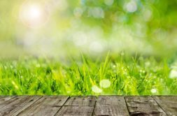 Terrain à Nozay 44170 450m2 64500 € - ALEG-25-10-21-2