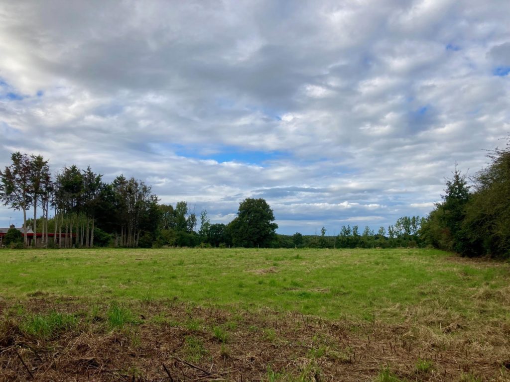 Terrain à La-Meilleraye-de-Bretagne 44520 450m2 49900 € - ALEG-26-03-26-269