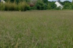 Terrain à Hopital-Camfrout 29460 460m2 53000 € - JUMI-25-04-08-78