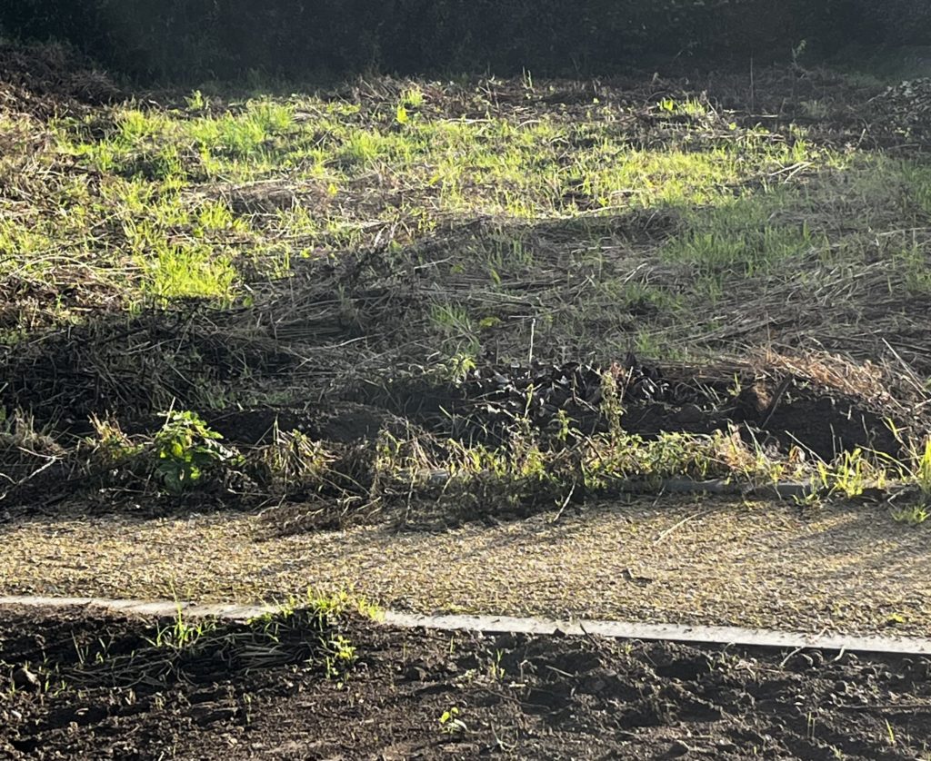 Terrain à Roscoff 29680 476m2 130000 € - CDER-25-06-18-2