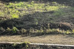 Terrain à Roscoff 29680 476m2 130000 € - CDER-25-06-18-2