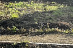 Terrain à Roscoff 29680 476m2 130000 € - CDER-25-03-31-1