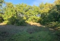 Terrain à Lannion 22300 484m2 26600 € - MLAG-25-04-21-109