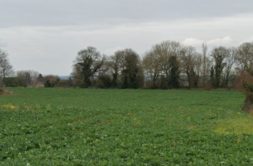 Terrain à Saint-Cast-le-Guildo 22380 350m2 61000 € - BONE-25-03-30-72