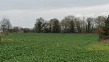 Terrain à Saint-Cast-le-Guildo 22380 375m2 70500 € - BONE-25-11-20-25