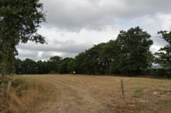 Terrain à Bobital 22100 420m2 58000 € - BONE-25-06-10-37