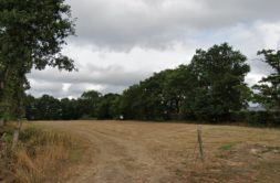 Terrain à Bobital 22100 830m2 95000 € - BONE-25-04-23-17