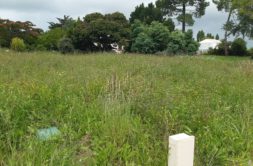 Terrain à Breuillet 17920 453m2 136500 € - OBE-25-05-26-17