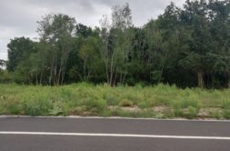 Terrain à Les-Mathes 17570 1032m2 219800 € - OBE-25-03-03-41