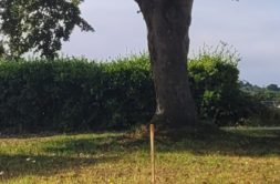 Terrain à Brehand 22510 399m2 44500 € - YLM-25-05-18-5
