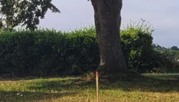 Terrain à Brehand 22510 399m2 49500 € - YLM-25-10-21-36