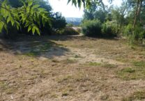 Terrain à Castillon-Saves 32490 902m2 70700 € - VIMA-25-06-23-7