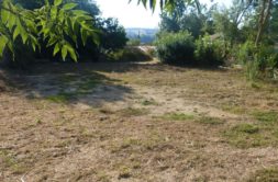 Terrain à Castillon-Saves 32490 902m2 70700 € - VIMA-25-06-23-7