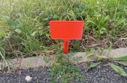 Terrain à Touvois 44650 489m2 54000 € - JLD-25-11-24-53