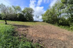 Terrain à Aubiet 32270 1035m2 38000 € - VIMA-25-08-01-7