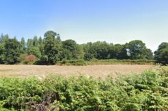 Terrain à QUEVERT 22100 272m2 44900 € - BONE-25-04-23-18