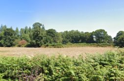 Terrain à Quevert 22100 338m2 54900 € - BONE-25-05-06-7