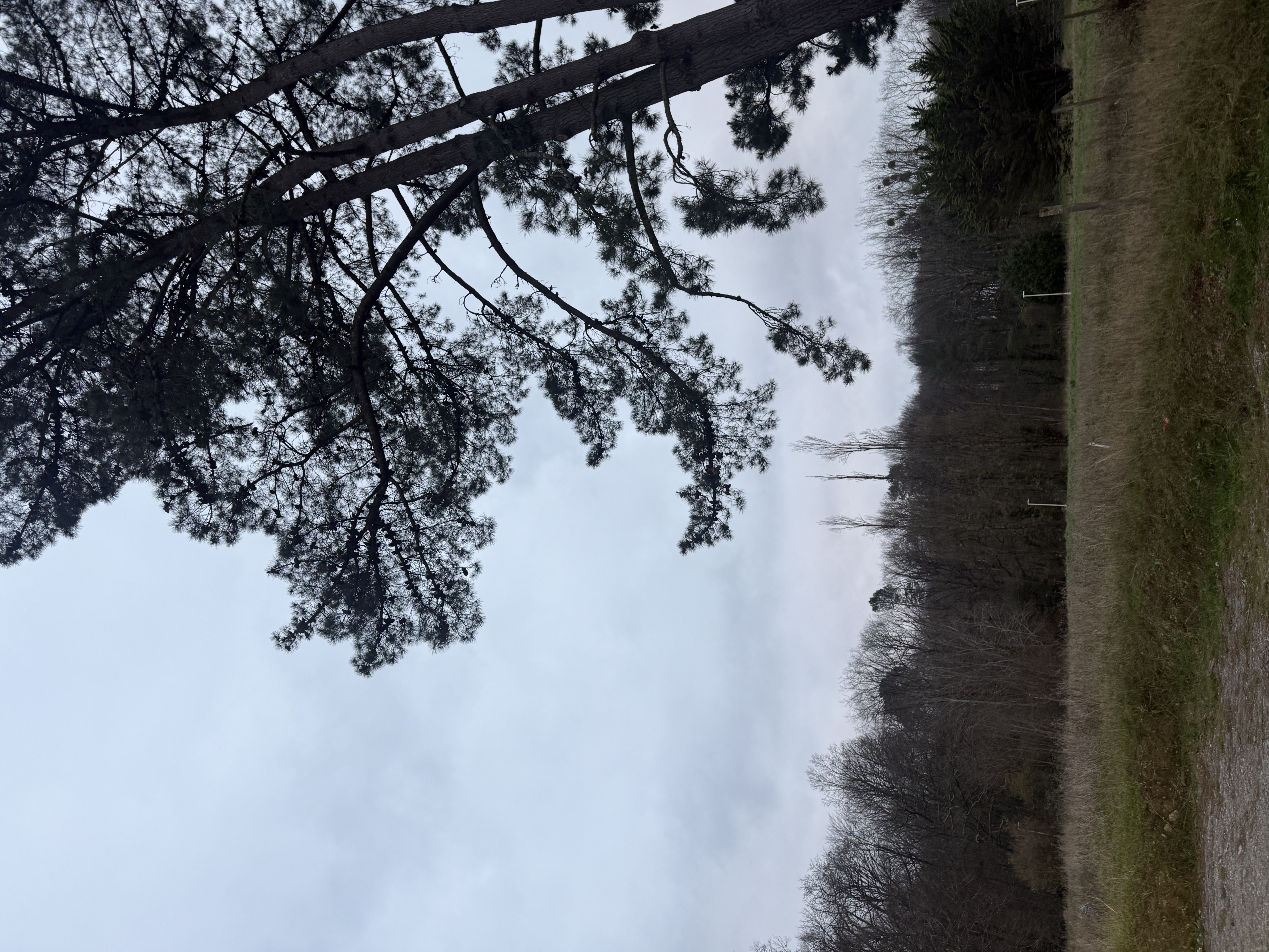 Terrain à Bruz 35170 441m2 98500 € - ABRE-25-09-23-7