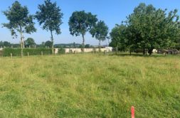 Terrain à Saint-Remy-du-Plain 35560 449m2 49500 € - MCHO-25-03-11-7