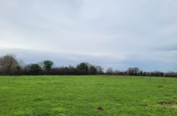 Terrain à Le-Drennec 29860 383m2 53620 € - PBE-25-05-05-9