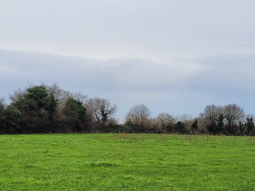 Terrain à Le-Drennec 29860 628m2 81640 € - PBE-25-05-05-10